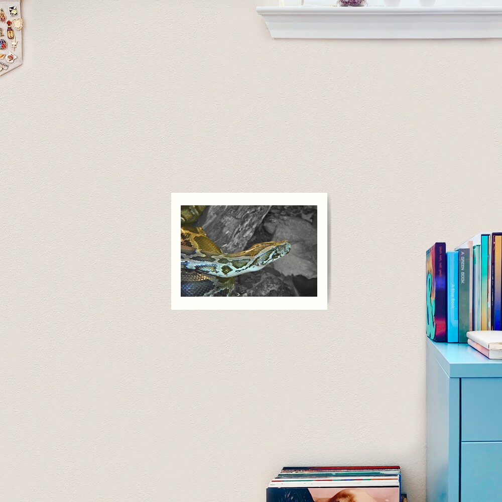 Item preview, Art Print designed and sold by Dorothy26.