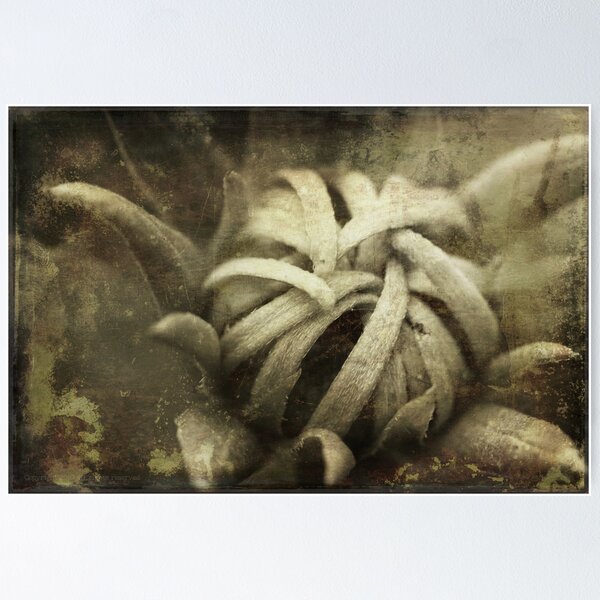 Item preview, Grasp designed and sold by Bob  Hallam.