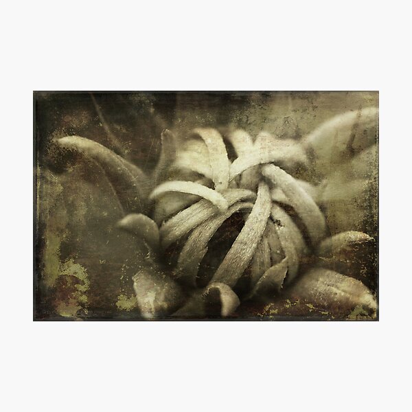 Item preview, Grasp designed and sold by Bob  Hallam.