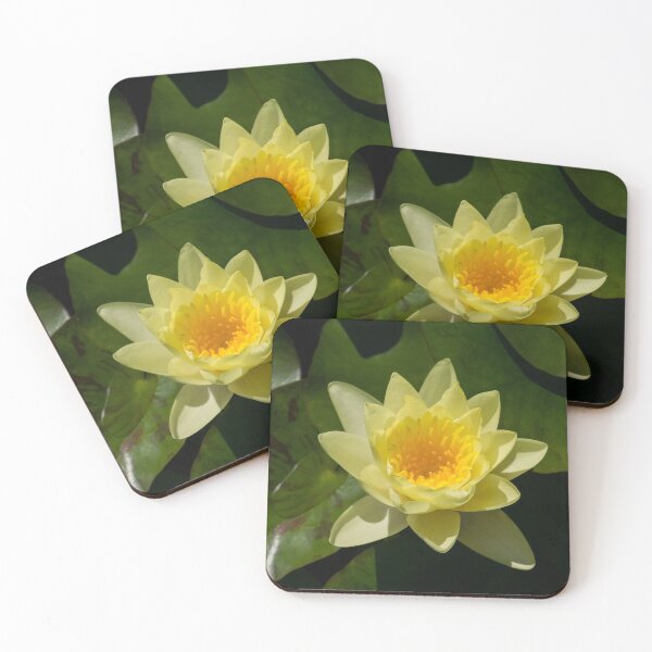 Item preview, Fantabulous Waterlily - Chiaroscuro Reveal of a Golden Beauty designed and sold by Georgia Mizuleva.