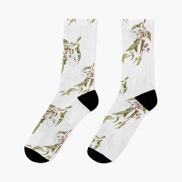 Item preview, Cup Gum - Australian Eucalyptus flower designed and sold by Alice Duigan Mussared.