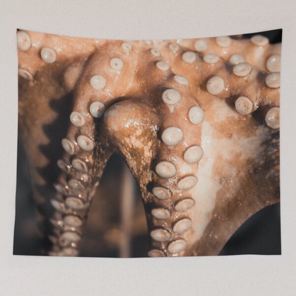 Item preview, Fisherman with octopus, macro photos, fine art, food patterns, kitchen wall art, hasselblad designed and sold by Spallutos.