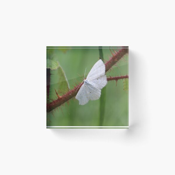 Item preview, Almost Perfect designed and sold by cuprum.