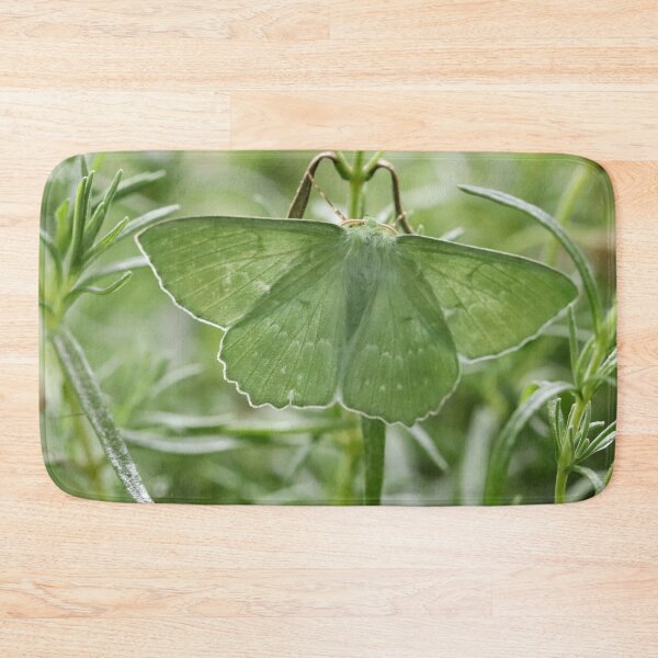 Item preview, A Happy Encounter designed and sold by cuprum.