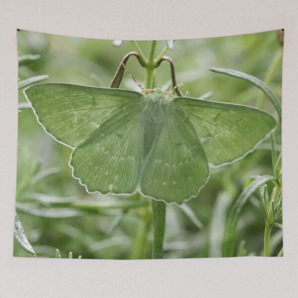 Item preview, A Happy Encounter designed and sold by cuprum.