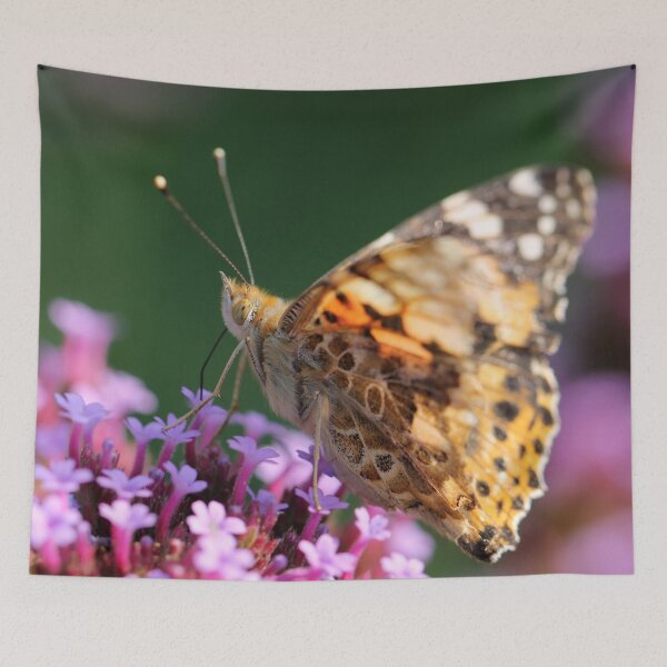 Item preview, Painted Lady designed and sold by cuprum.