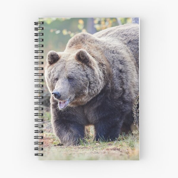 Item preview, The Laughing Bear  designed and sold by Jouko Lehto Photography.
