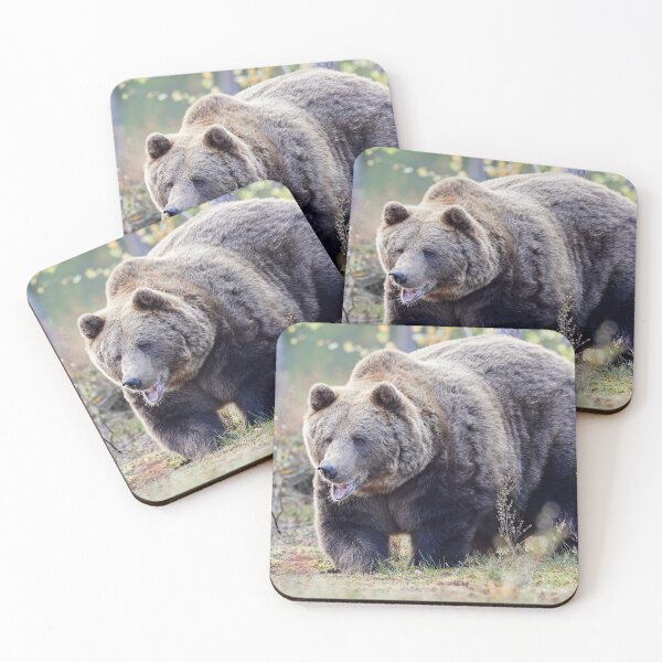 Item preview, The Laughing Bear  designed and sold by Jouko Lehto Photography.