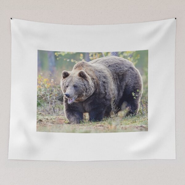 Item preview, The Laughing Bear  designed and sold by Jouko Lehto Photography.