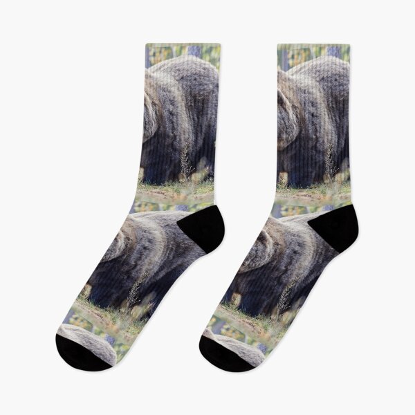 Item preview, The Laughing Bear  designed and sold by Jouko Lehto Photography.