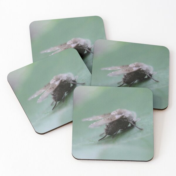 Item preview, I count to ten, and than I'll come looking for you! designed and sold by cuprum.