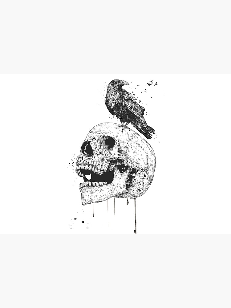 New skull (bw) by soltib