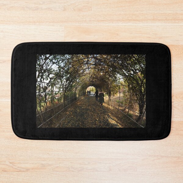 Item preview, Asan Park Walkway in Fall designed and sold by Mike Ashley.