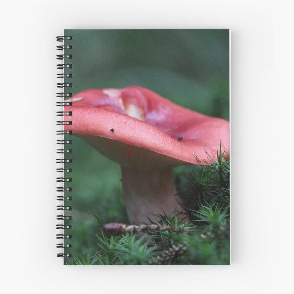 Item preview, Red Forest Beauty designed and sold by cuprum.