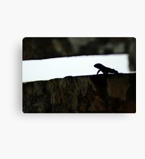 Crevasse - Brazil Canvas Print