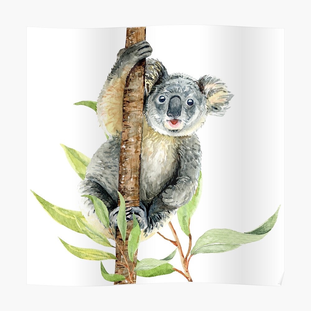 Cute Koala Baby Nursery Decor Sticker By Vincent 68 Redbubble