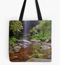 Blackheath Canyon. 4-1-2011. Tote Bag