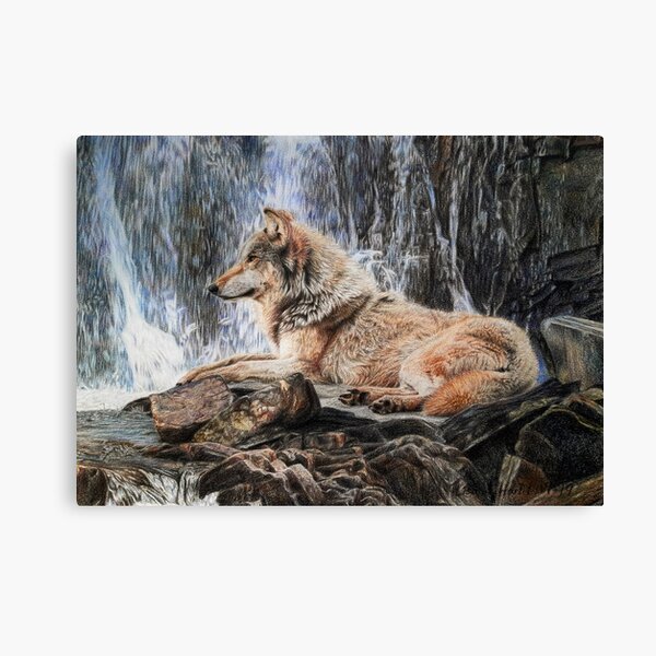 Grey wolf in front of a waterfall Canvas Print