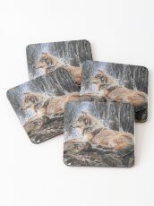 Grey wolf in front of a waterfall Coasters