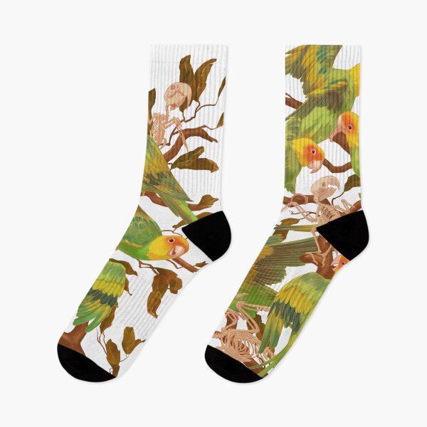 Item preview, The extinction of the Carolina Parakeet. designed and sold by Iker Paz Studio.