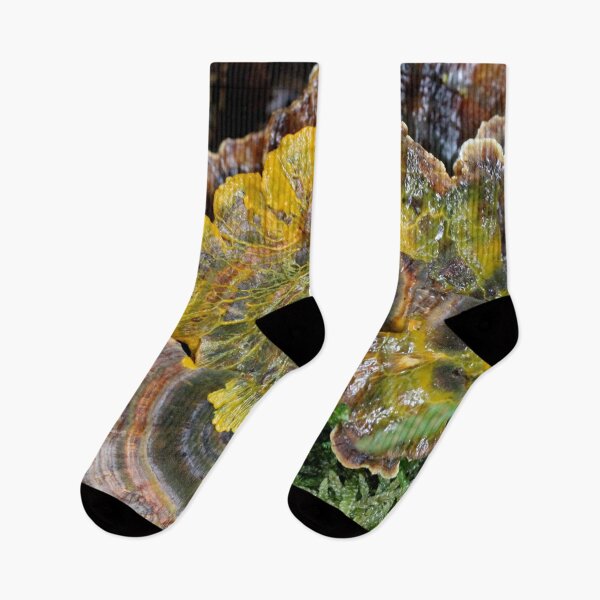 Item preview, Nature's Splash Art designed and sold by cuprum.
