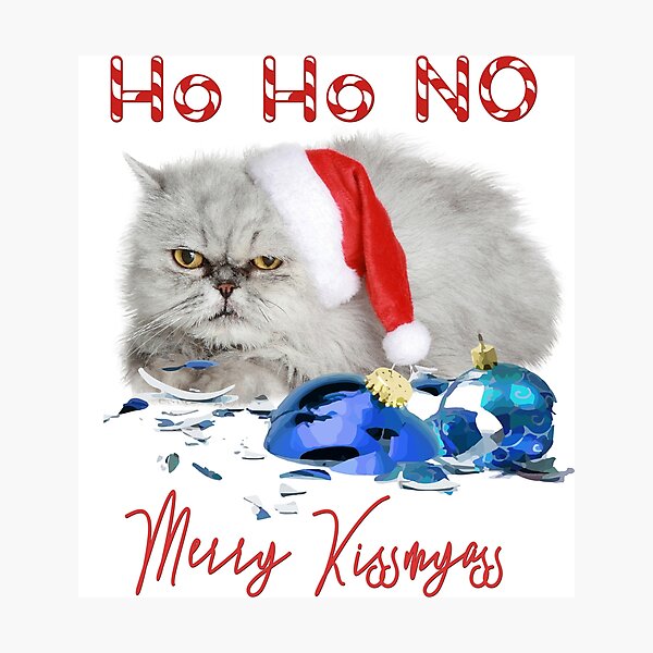 Funny Christmas Cat Merry Kissmyass Photographic Print