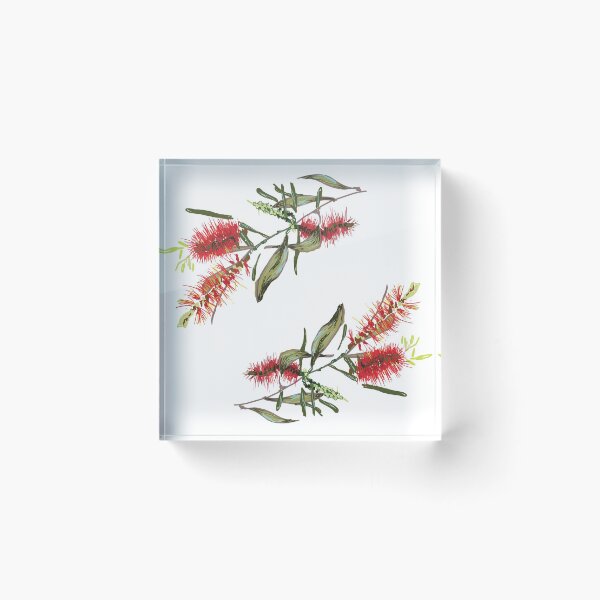 Item preview, Callistemon designed and sold by Alice Duigan Mussared.