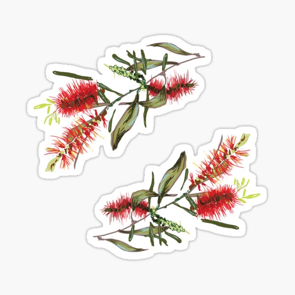 Item preview, Callistemon designed and sold by Alice Duigan Mussared.