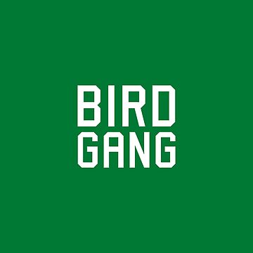 Bird Gang Philadelphia sticker, Philadelphia football sticker, fly eag –  exit343design