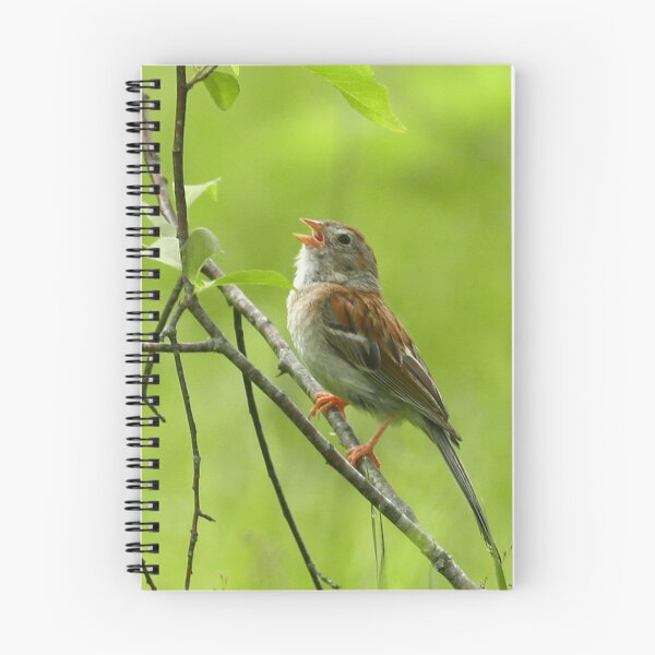Item preview, Field Sparrow designed and sold by Enola Gay Wagner.