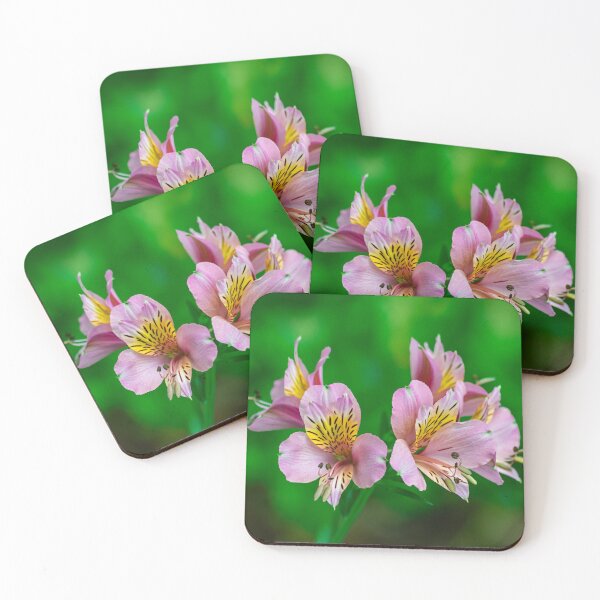 Item preview, Peruvian lily, (altroemeria aurantiaca ligtu) designed and sold by Martin Leber.