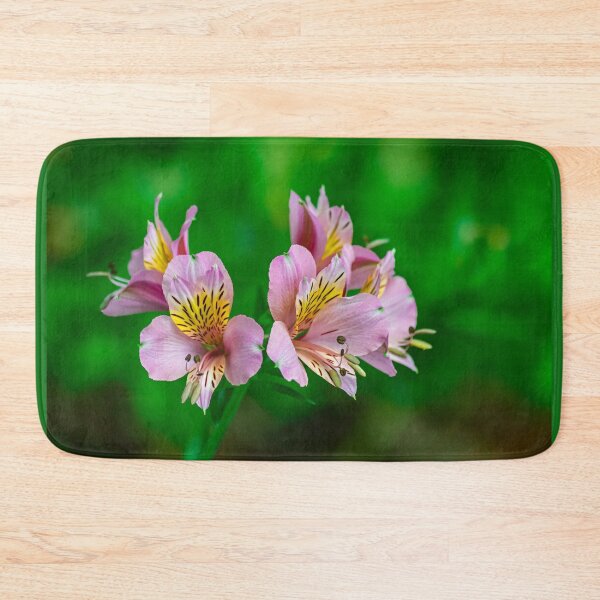 Item preview, Peruvian lily, (altroemeria aurantiaca ligtu) designed and sold by Martin Leber.