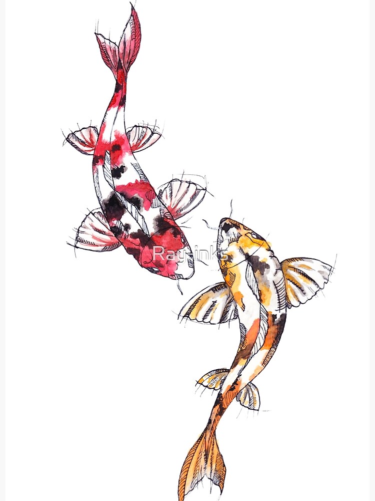 Koi Ballet watercolor selling 16