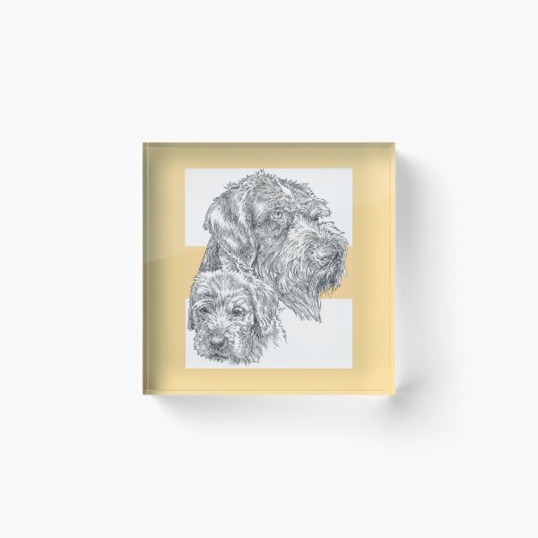 Item preview, German Wire-haired Pointer Father & Son designed and sold by BarbBarcikKeith.