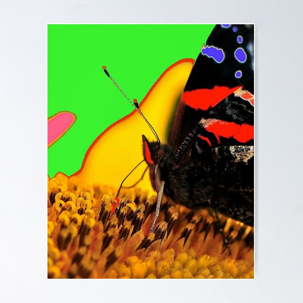 Item preview,  BUTTERFLY COLLECTION...E designed and sold by RoseMarie747.