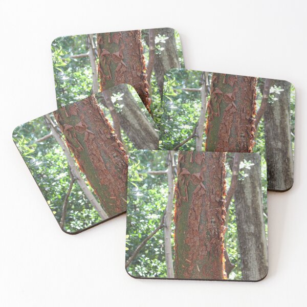 Item preview, Beautiful Bark designed and sold by Takisha Hearne.