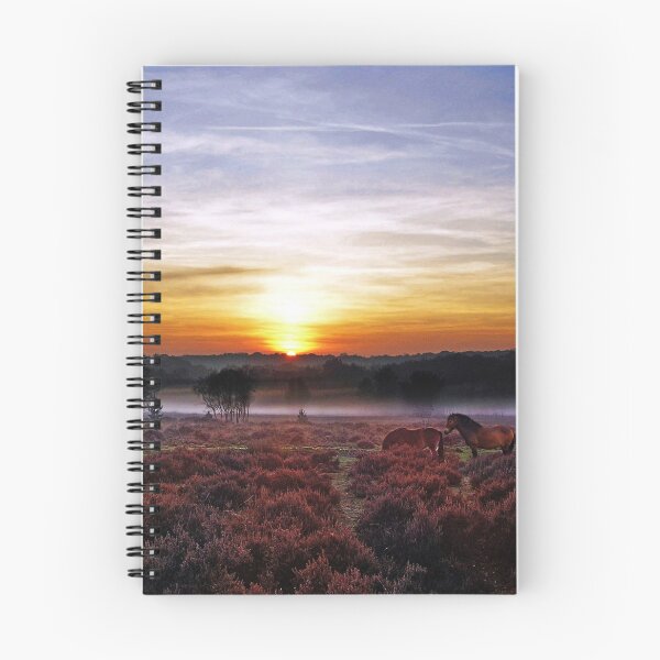 Item preview, SETTING SUN on DARTMOOR PONIES designed and sold by Neil Finnemore.