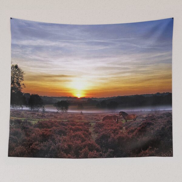 Item preview, SETTING SUN on DARTMOOR PONIES designed and sold by Neil Finnemore.
