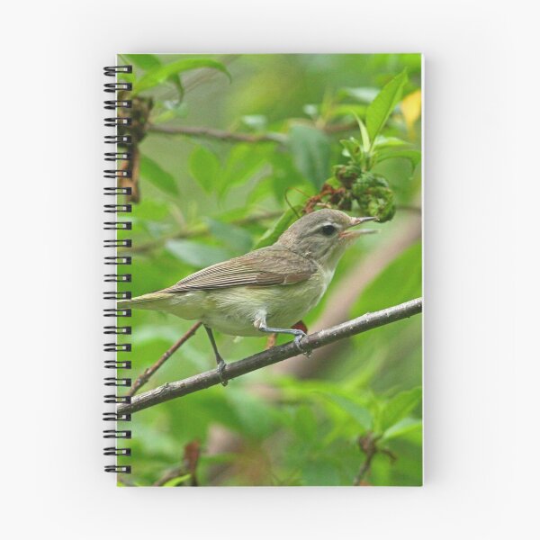 Item preview, Vireo designed and sold by Enola Gay Wagner.