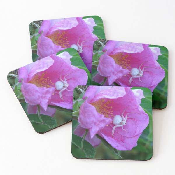 Item preview, Bienvenido a mi guarida designed and sold by Sharon Perrett.