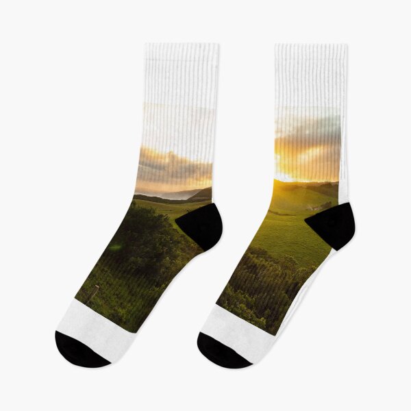 Item preview, Dairy farm Johanna Beach Victoria designed and sold by scottimage.