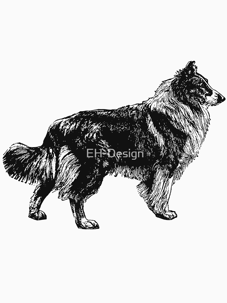 Collie von EH-Design