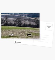 Countryside Postcards
