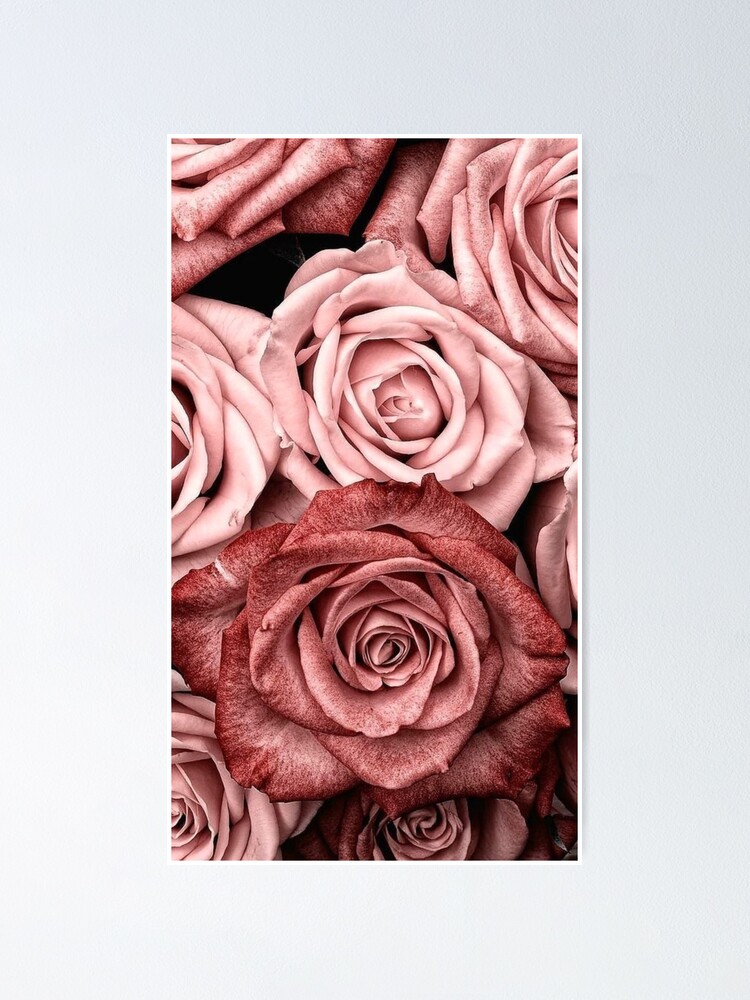 Alternate view of Vintage roses Poster