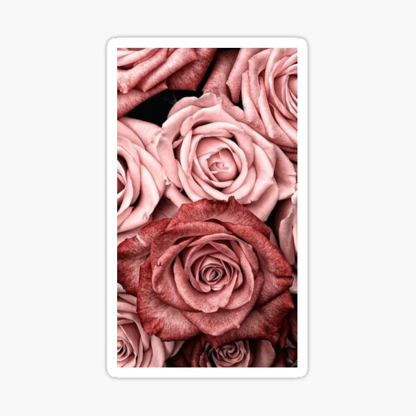Vintage roses Sticker