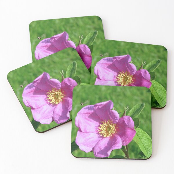 Item preview, Hovering  designed and sold by Sharon Perrett.