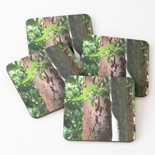 Item preview, Paper Thin  designed and sold by Takisha Hearne.