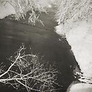 Winter Scene #16 by Amy E. McCormick