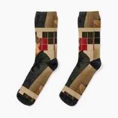 EXO- Baekhyun Socks