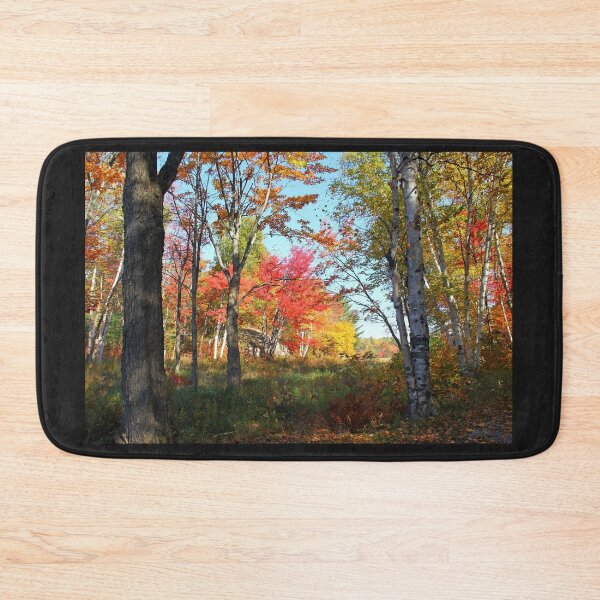 Item preview, Autumn Forest Killarney Provincial Park designed and sold by Debbie Oppermann.